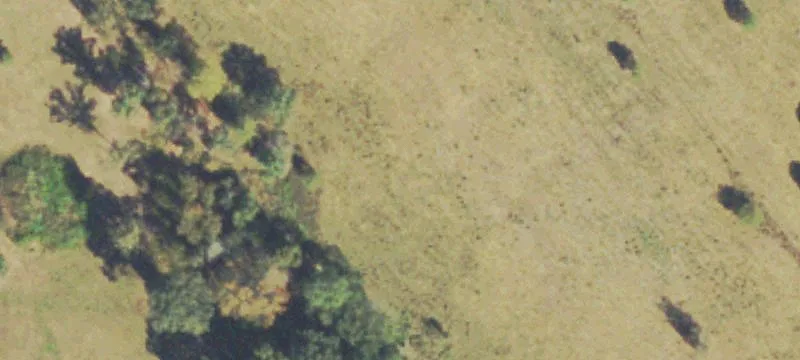 Hunting Land with Lodge Improvements