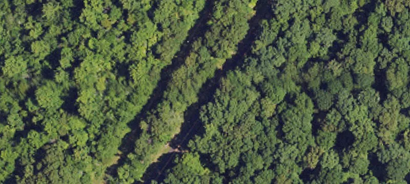 Farmland with Hunting Grounds