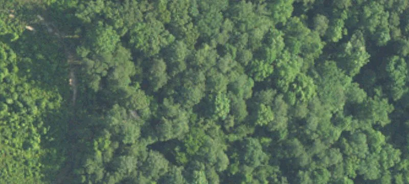 Wooded Acreage Parcel