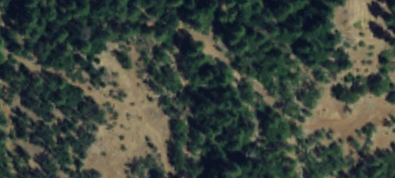 Agricultural Land with Woodlands