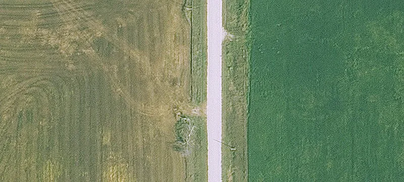 Agricultural Farm with Timber