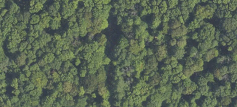 Wooded Recreational Land