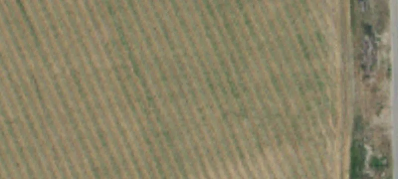 Certified Organic Irrigated Farm
