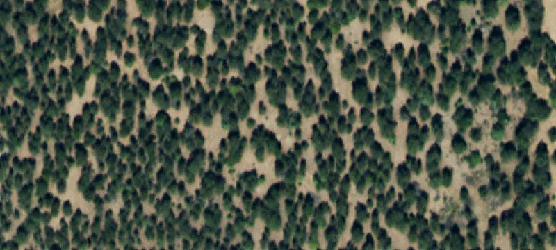 Land with Mountain Views