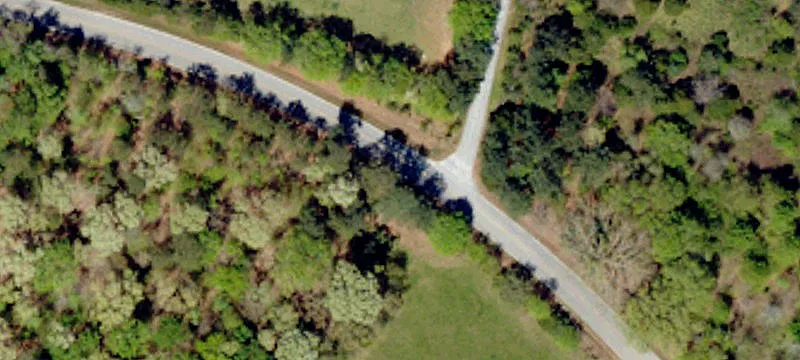 Wooded Hunting Land