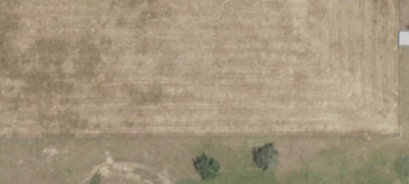 Ranch Property with Cattle Facilities