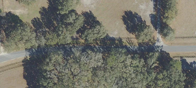 Fenced Farm with Paddocks