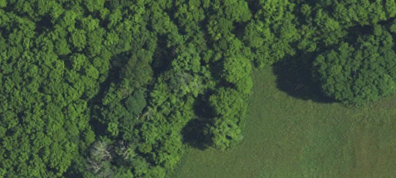 Income-Producing Commercial Land