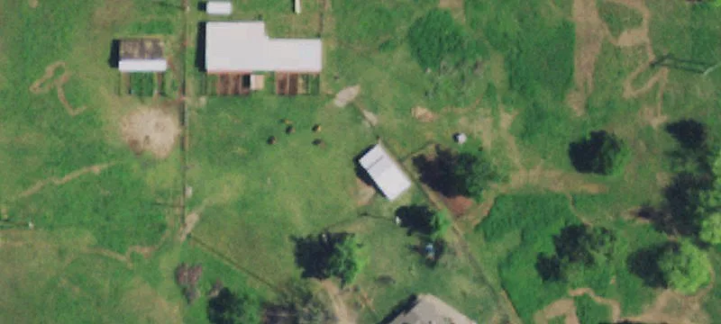 Cultivated Agricultural Land