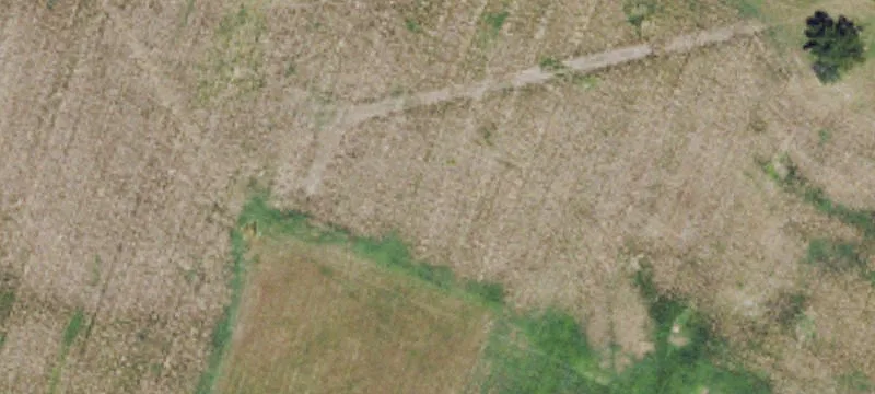 Equestrian Property With Two Barns