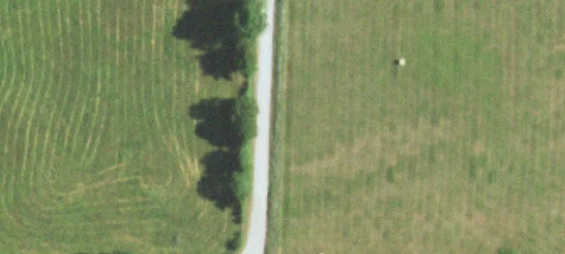 Land