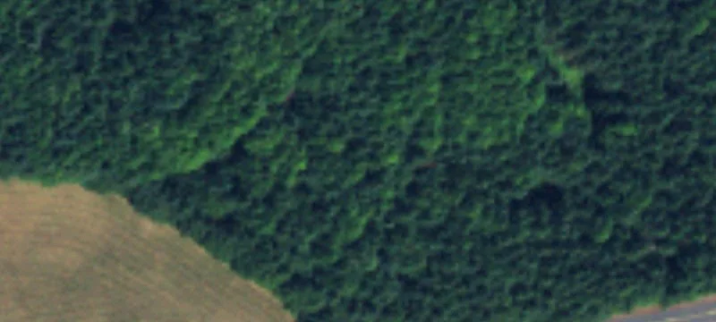 Unimproved Land