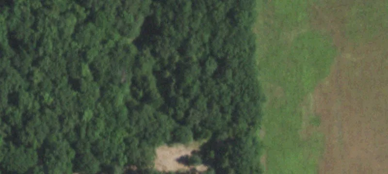 Ranch with Log Home