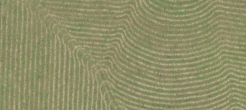 Unimproved Land