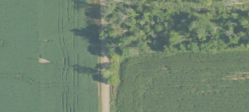 Agricultural Land with Hunting Use