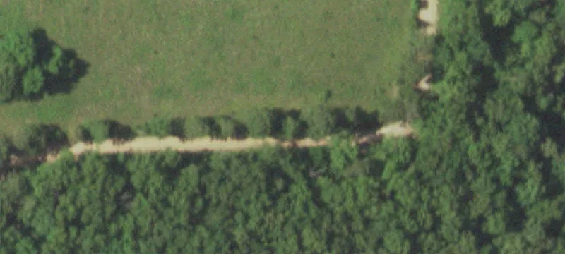 Ozark Timber Hunting Land
