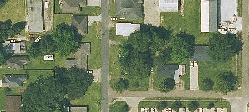 Cleared Land with Oak Tree