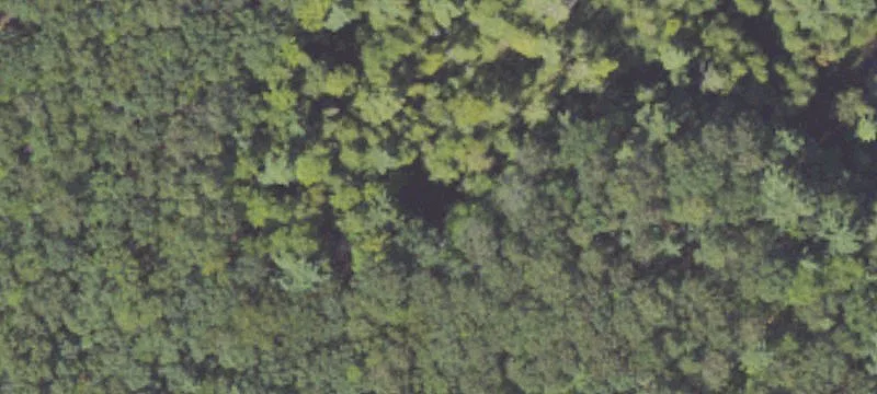 Wooded Recreation Land