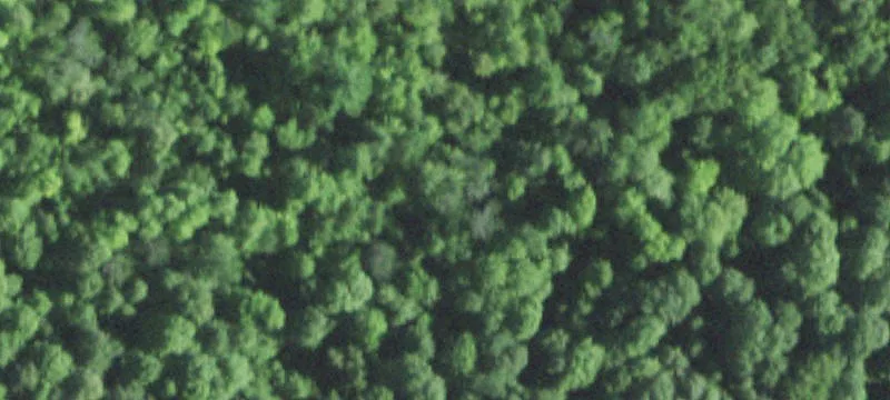 Wooded Recreation Land with Trail Access