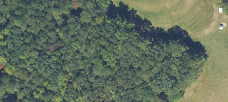 Unimproved Land