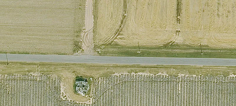 Zero-Grade Rice Farm with Irrigation