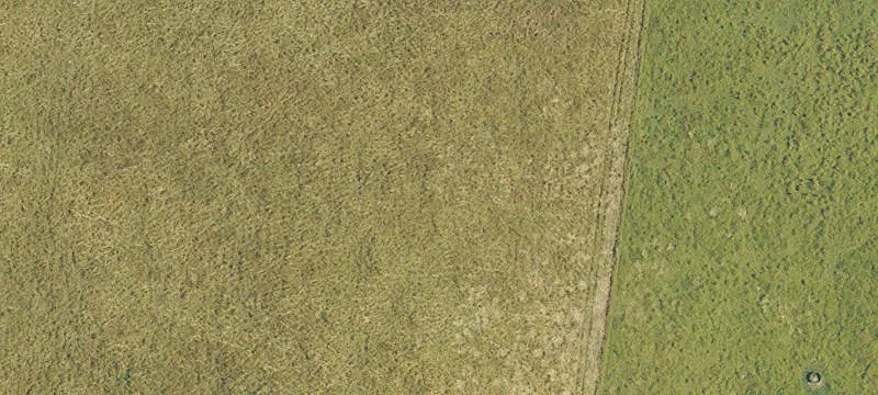 Farm Land with Outbuildings
