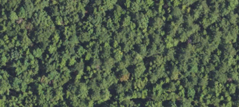 Land/Lot