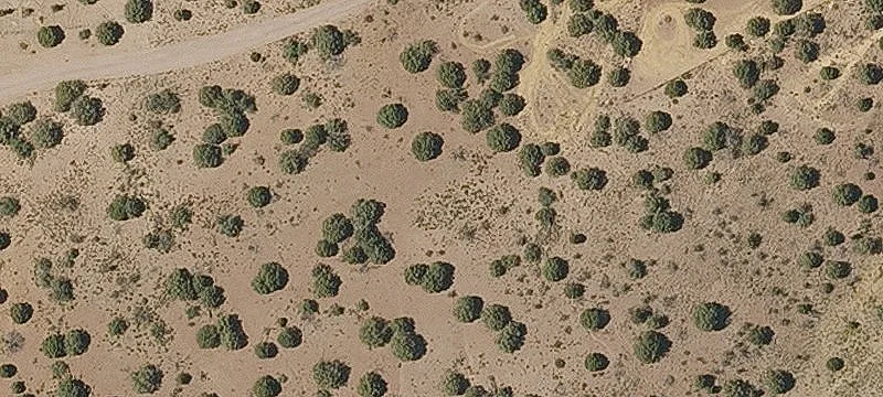 Land