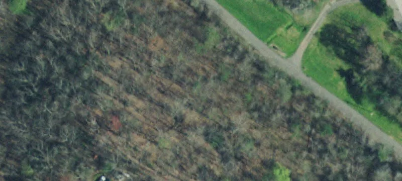 1132 Cole Ln, Gatlinburg, TN