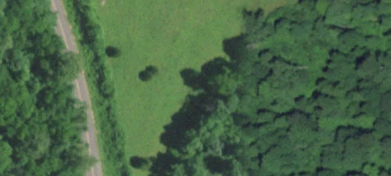 Hunting Land with Furnished Cabin