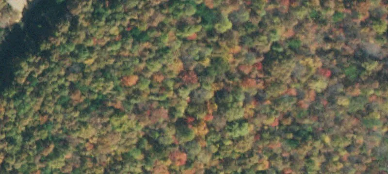 Recreation Land with ATV Trails