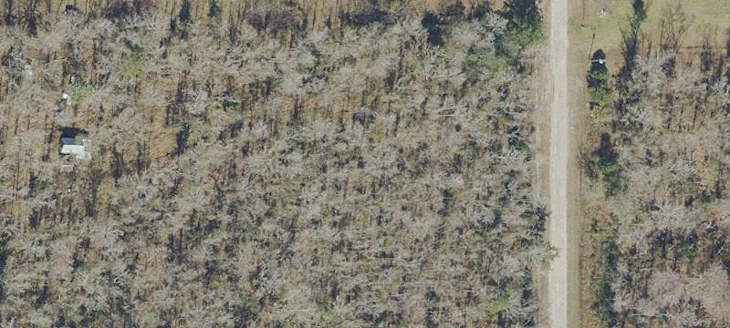 Wooded Recreation Land