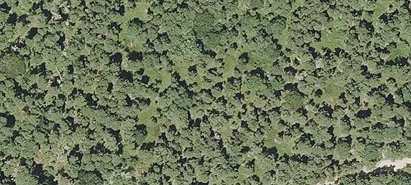 Unimproved Land