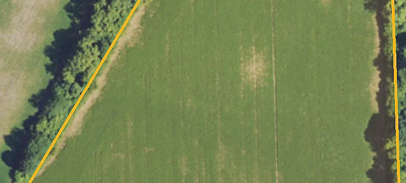 Surveyed Land Parcel