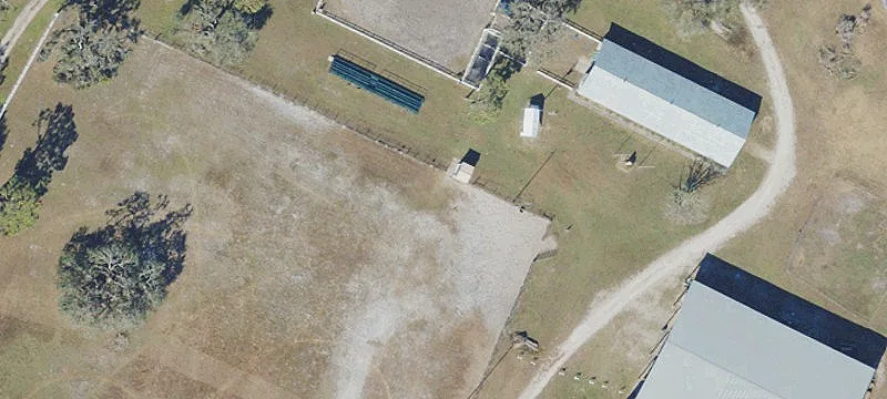 Established Citrus Grove Farm