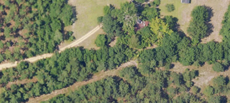 Timbered Agricultural Land