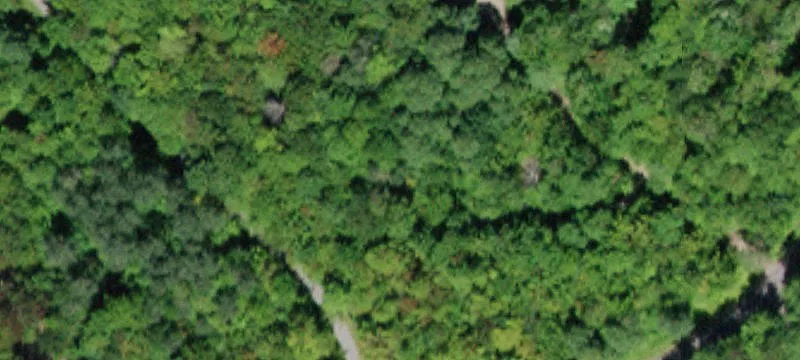 Land or Vacant Lot
