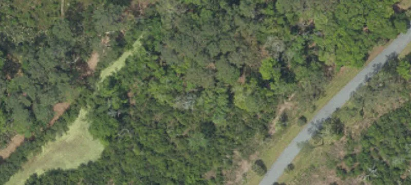 Land or Vacant Lot