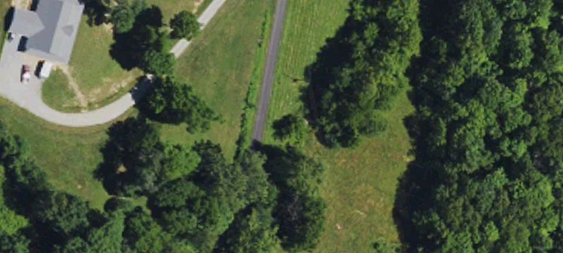 Wooded Hunting Land