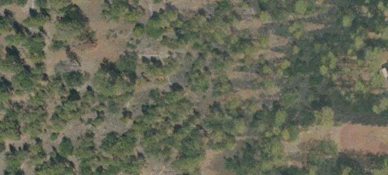 Flat Wooded Land