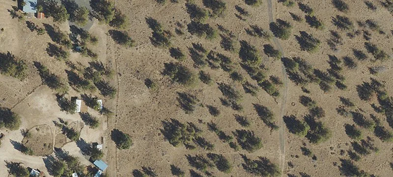 Rangeland Agricultural Parcel