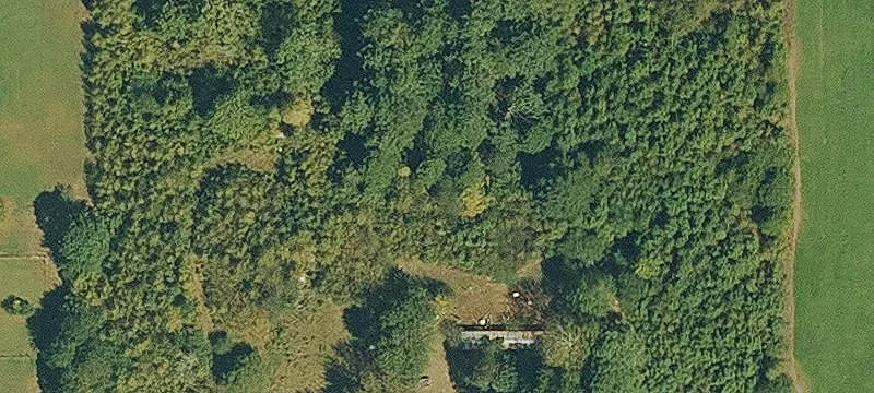 Pasture and Timber Farmland