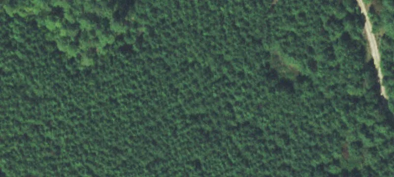 Vacant Land