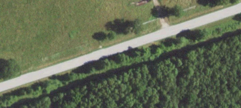 Wooded Hunting Land