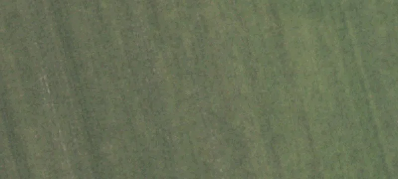 Contiguous Agricultural Land with Pastures