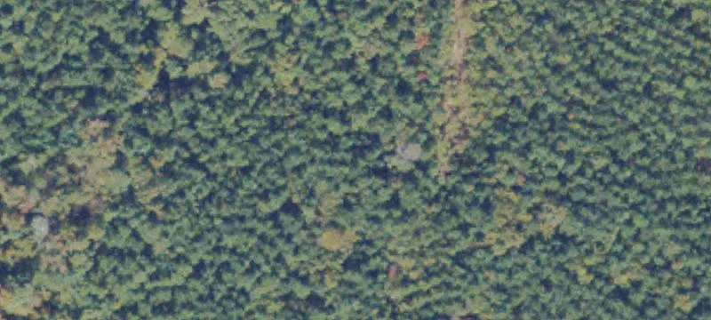 Agricultural Land