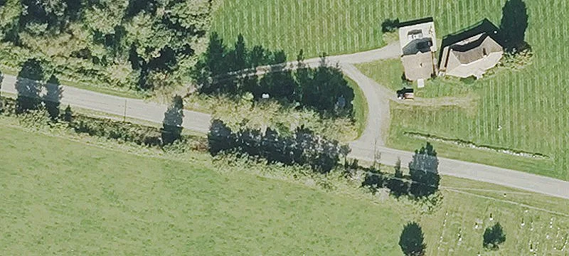 Timbered Hunting Land with Trail Access