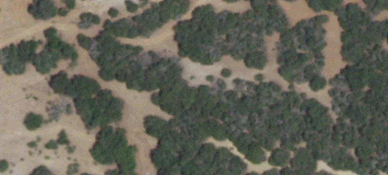Ranch Property with Farmhouse