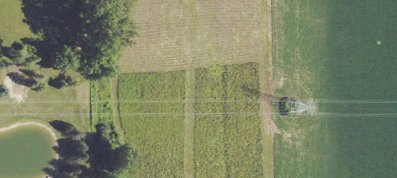 Land
