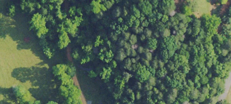 Lots/Land